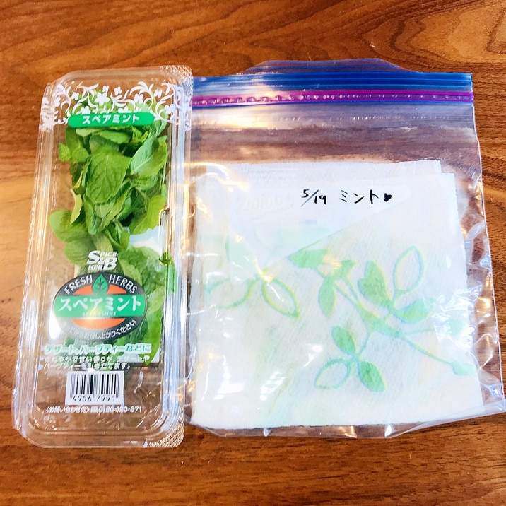 ミントの葉の冷蔵保存方法 レシピ 作り方 By ぼくバナナ 楽天レシピ ミントの葉の冷蔵保存方法 レシピ 作り方 By ぼくバナナ 楽天レシピ